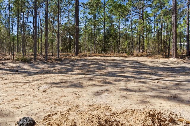 670 NE 149TH COURT, Williston, FL 32696