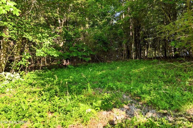 0 Daniels Rd, Knoxville, TN 37938