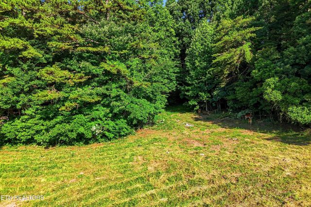 0 Daniels Rd, Knoxville, TN 37938