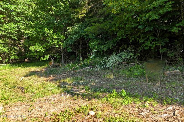 0 Daniels Rd, Knoxville, TN 37938