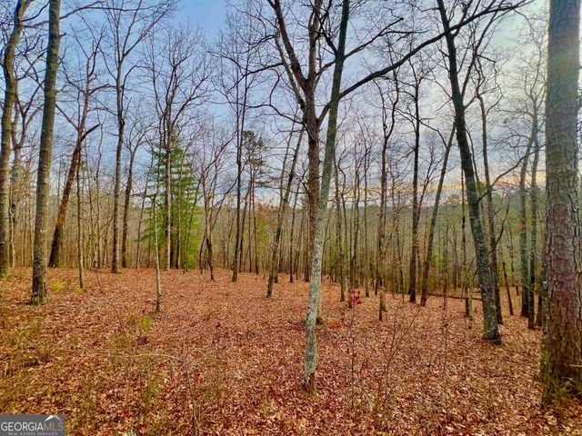 208 Harris Ridge Drive, Ellijay, GA 30540