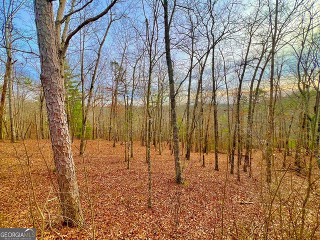 208 Harris Ridge Drive, Ellijay, GA 30540