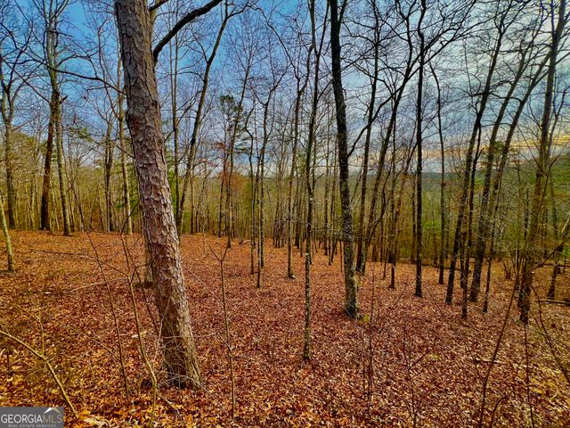 208 Harris Ridge Drive, Ellijay, GA 30540