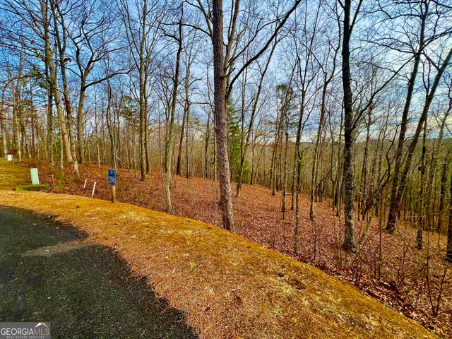 208 Harris Ridge Drive, Ellijay, GA 30540