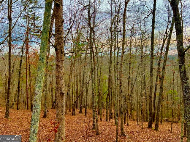 208 Harris Ridge Drive, Ellijay, GA 30540