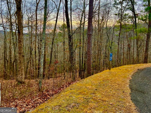 208 Harris Ridge Drive, Ellijay, GA 30540