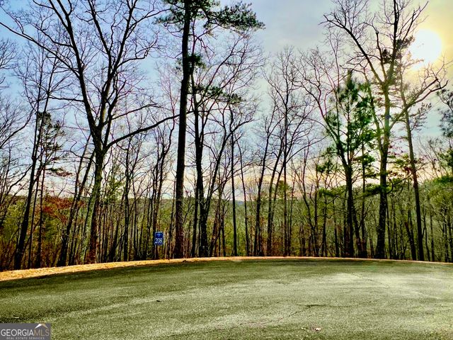 208 Harris Ridge Drive, Ellijay, GA 30540