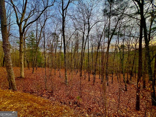 208 Harris Ridge Drive, Ellijay, GA 30540