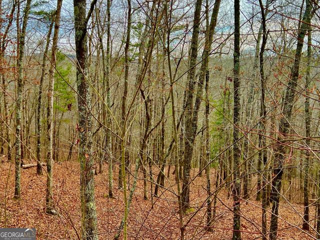 208 Harris Ridge Drive, Ellijay, GA 30540