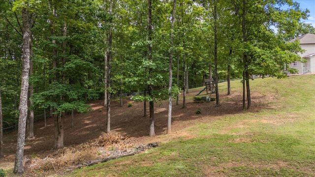 6218 Hidden Hill Road, Harrison, TN 37341