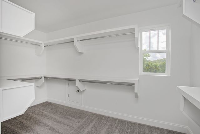 1554 Oak Springs Drive, Columbia, TN 38401