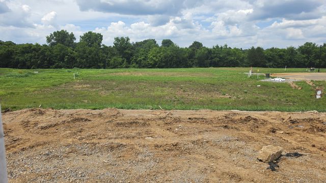 1554 Oak Springs Drive, Columbia, TN 38401