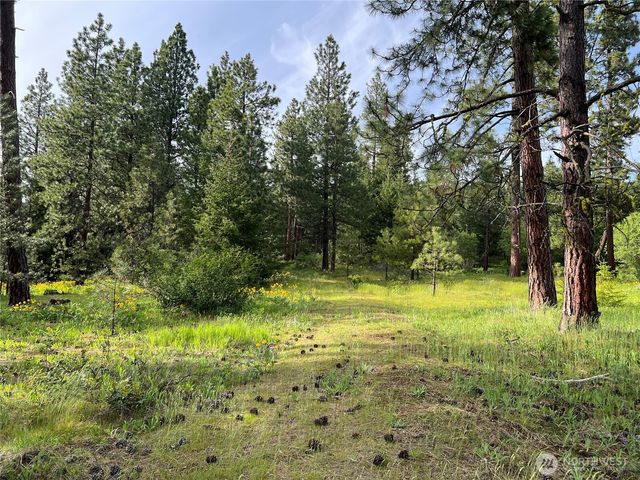 740 Sun Ridge Drive, Cle Elum, WA 98922