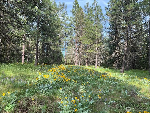 740 Sun Ridge Drive, Cle Elum, WA 98922