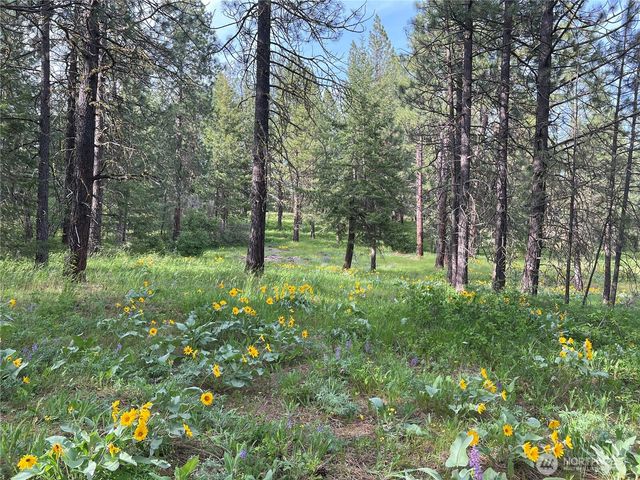 740 Sun Ridge Drive, Cle Elum, WA 98922