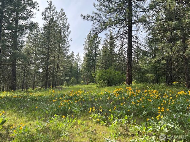740 Sun Ridge Drive, Cle Elum, WA 98922