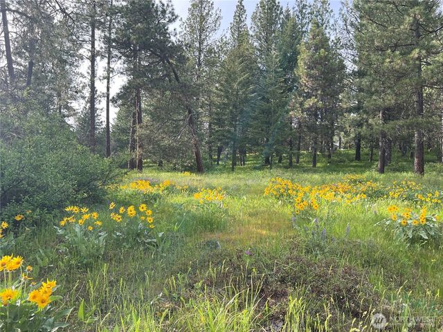 740 Sun Ridge Drive, Cle Elum, WA 98922