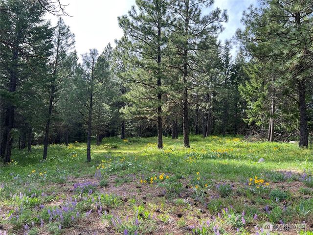740 Sun Ridge Drive, Cle Elum, WA 98922