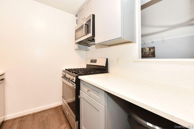 101 Lincoln Avenue 3R, Mineola, NY 11501