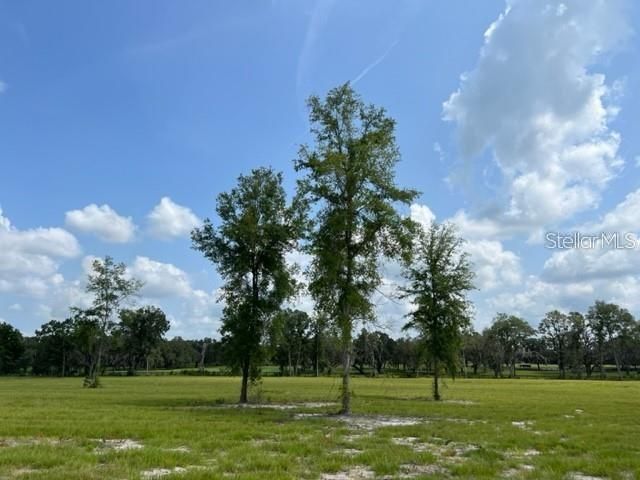TBD NW 14TH ST. - LOT 5, Ocala, FL 34482