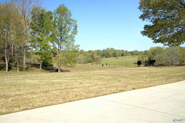 18707 Tillman Mill Road, Athens, AL 35614