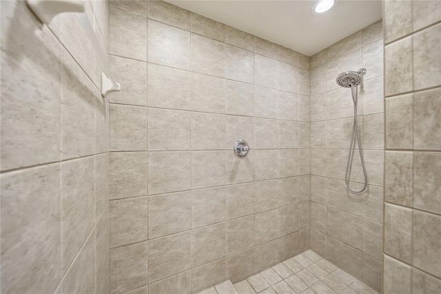 17210 BROADOAK DRIVE, Tampa, FL 33647
