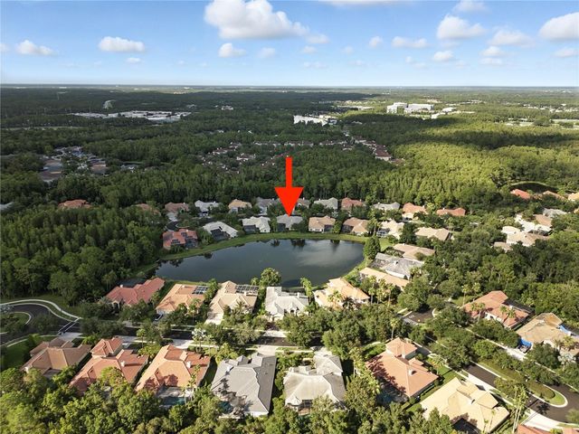 17210 BROADOAK DRIVE, Tampa, FL 33647