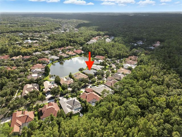 17210 BROADOAK DRIVE, Tampa, FL 33647