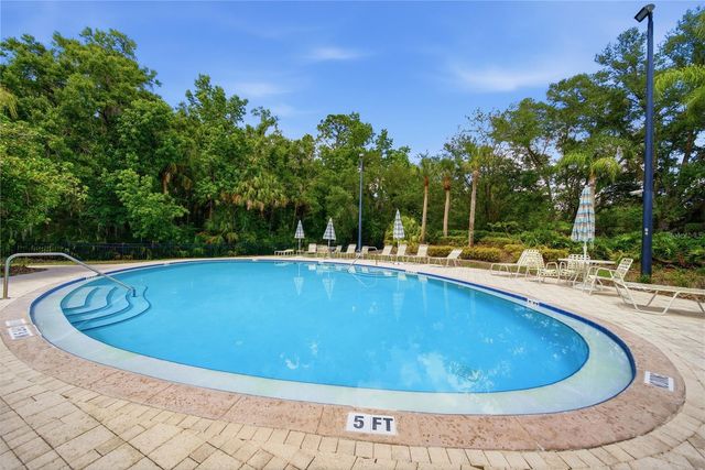 17210 BROADOAK DRIVE, Tampa, FL 33647