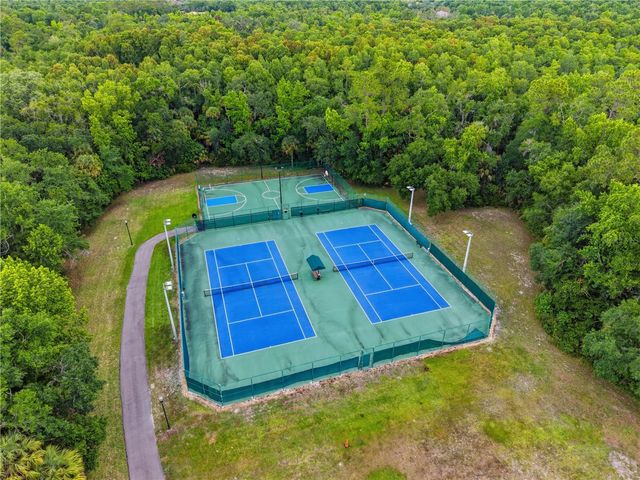 17210 BROADOAK DRIVE, Tampa, FL 33647