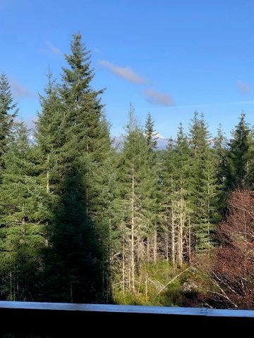 62 Southridge Drive, Belfair, WA 98528