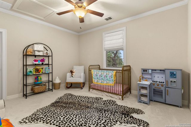 372 Shady, New Braunfels, TX 78132