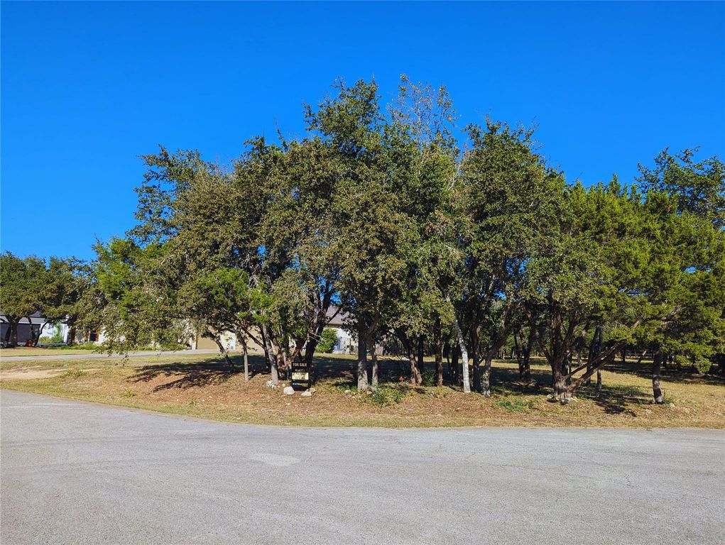 541 Onion Creek LN, Driftwood, TX 78619
