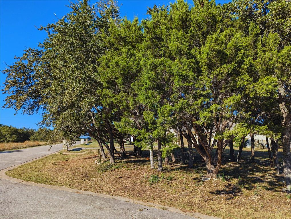 541 Onion Creek LN, Driftwood, TX 78619