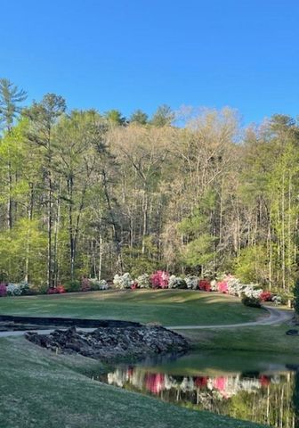 154 Broken Bow Run, Pickens, SC 29671