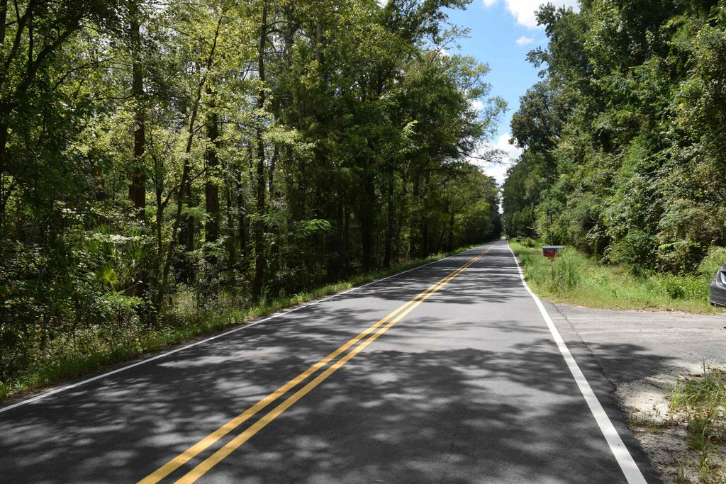 1806 New Rd., Conway, SC 29527 — photo 3