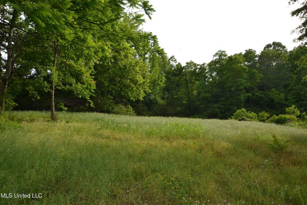 443 Highway 305 N, Olive Branch, MS 38654 — exterior