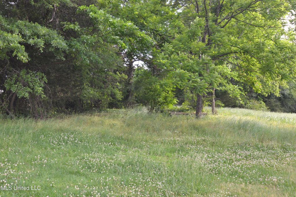 443 Highway 305 N, Olive Branch, MS 38654 — photo 3