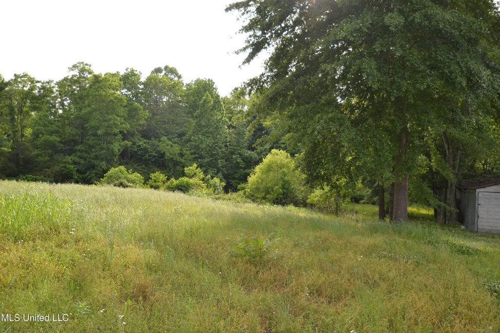 443 Highway 305 N, Olive Branch, MS 38654 — photo 4