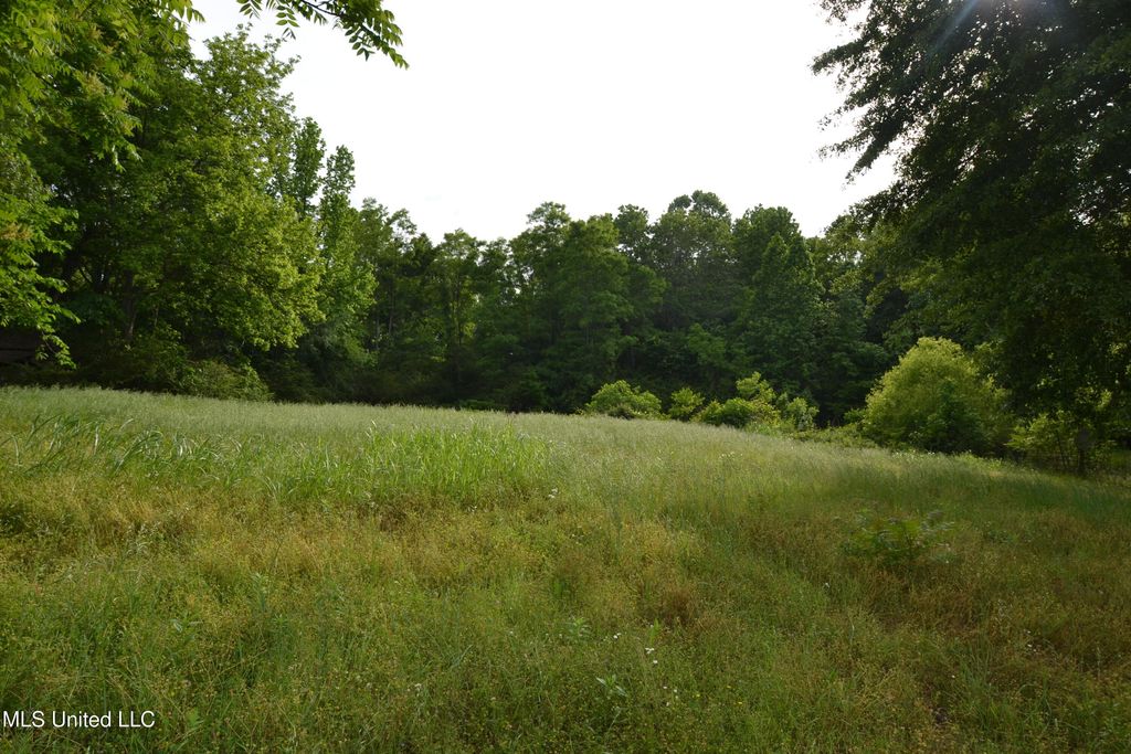 443 Highway 305 N, Olive Branch, MS 38654 — photo 5