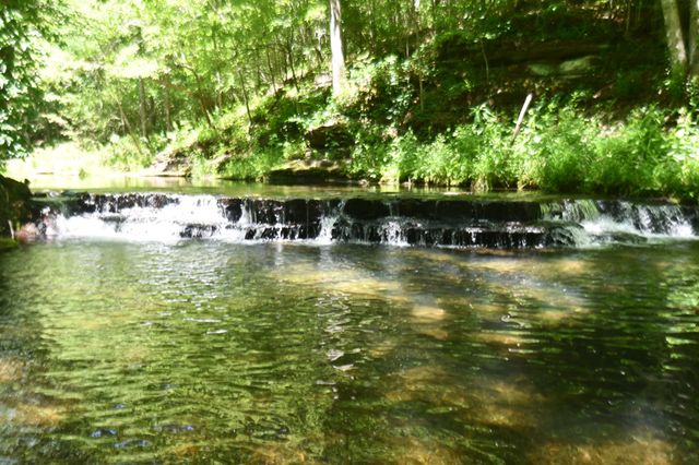 0 Brush Creek, Hohenwald, TN 38462