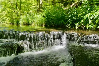 0 Brush Creek, Hohenwald, TN 38462