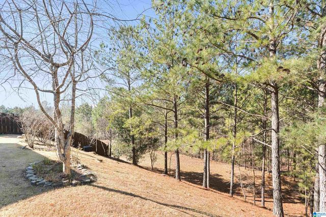 1084 DUNNAVANT PLACE, Birmingham, AL 35242