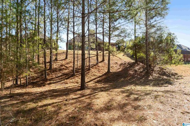 1084 DUNNAVANT PLACE, Birmingham, AL 35242