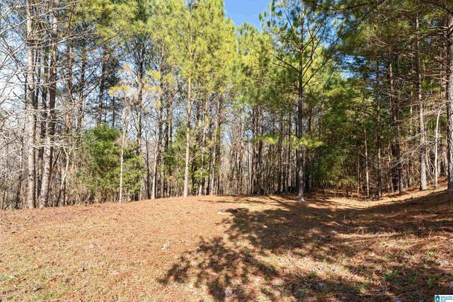 1084 DUNNAVANT PLACE, Birmingham, AL 35242