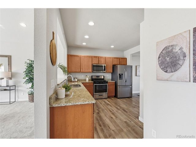 218 E Chestnut St 4, Windsor, CO 80550