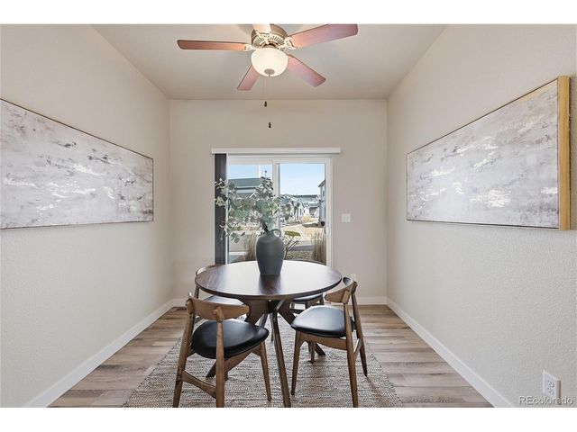 218 E Chestnut St 4, Windsor, CO 80550