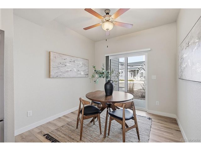 218 E Chestnut St 4, Windsor, CO 80550