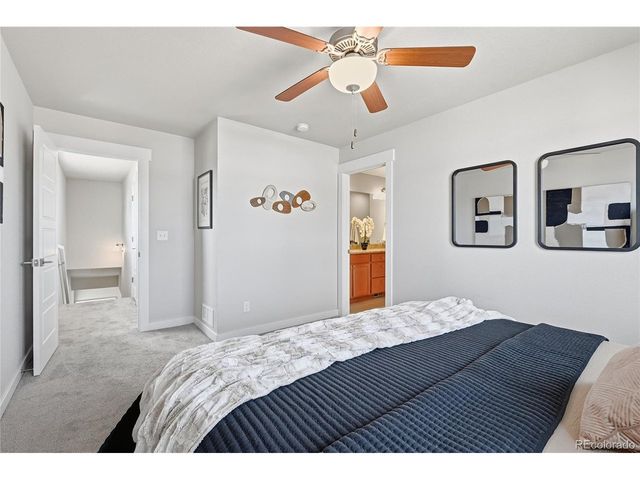 218 E Chestnut St 4, Windsor, CO 80550