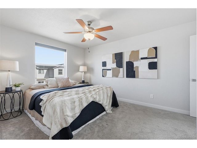 218 E Chestnut St 4, Windsor, CO 80550